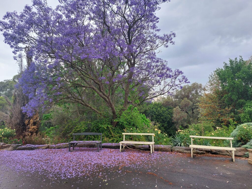 475499501_122161307546309256_7847960211476875475_n